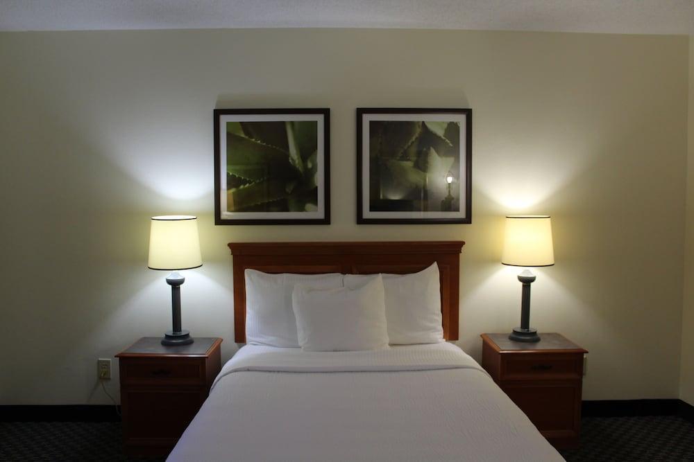 La Quinta By Wyndham Tampa Brandon West Hotel Exterior photo